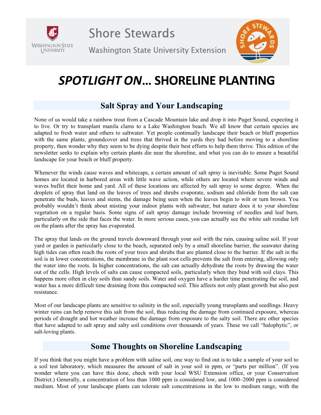 Spotlight on Shoreline Planting