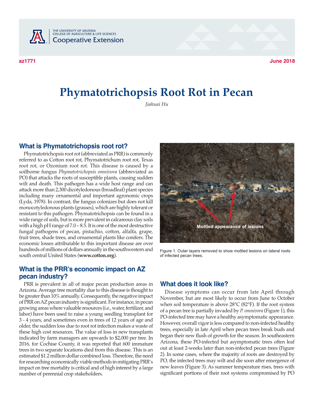 Phymatotrichopsis Root Rot in Pecan Jiahuai Hu