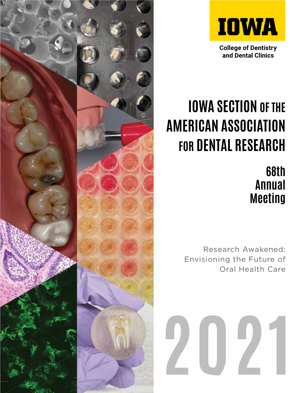 View the Abstracts Presented at the 2021 Annual Meeting of the Iowa