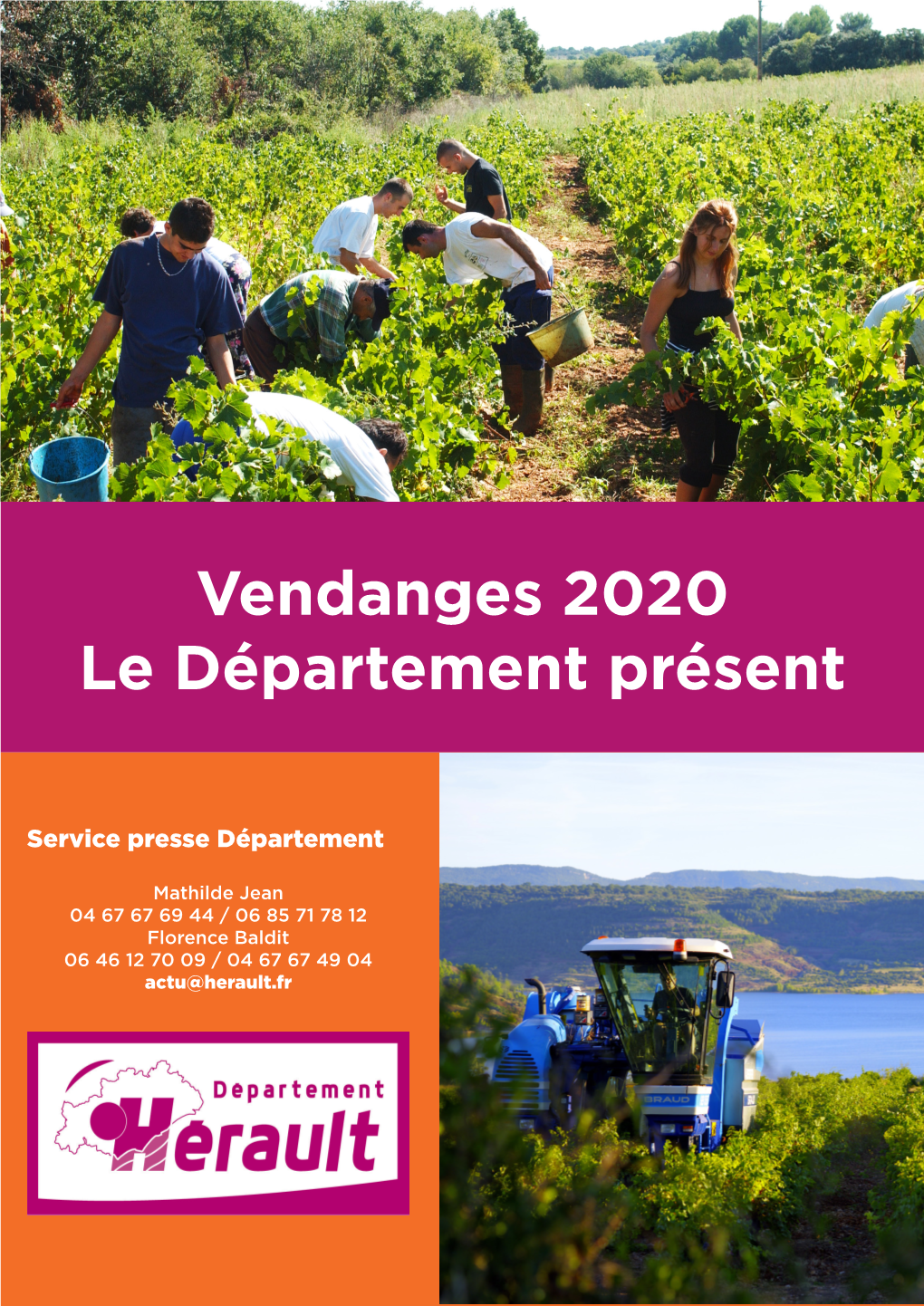 Vendanges 2020 Le Département Présent