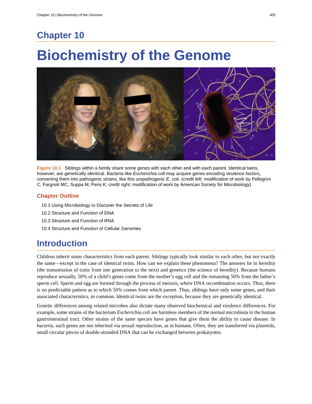Biochemistry of the Genome 405