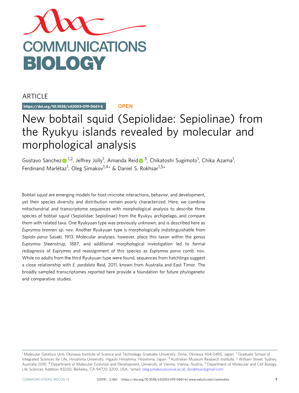 New Bobtail Squid (Sepiolidae: Sepiolinae) from the Ryukyu Islands Revealed by Molecular and Morphological Analysis