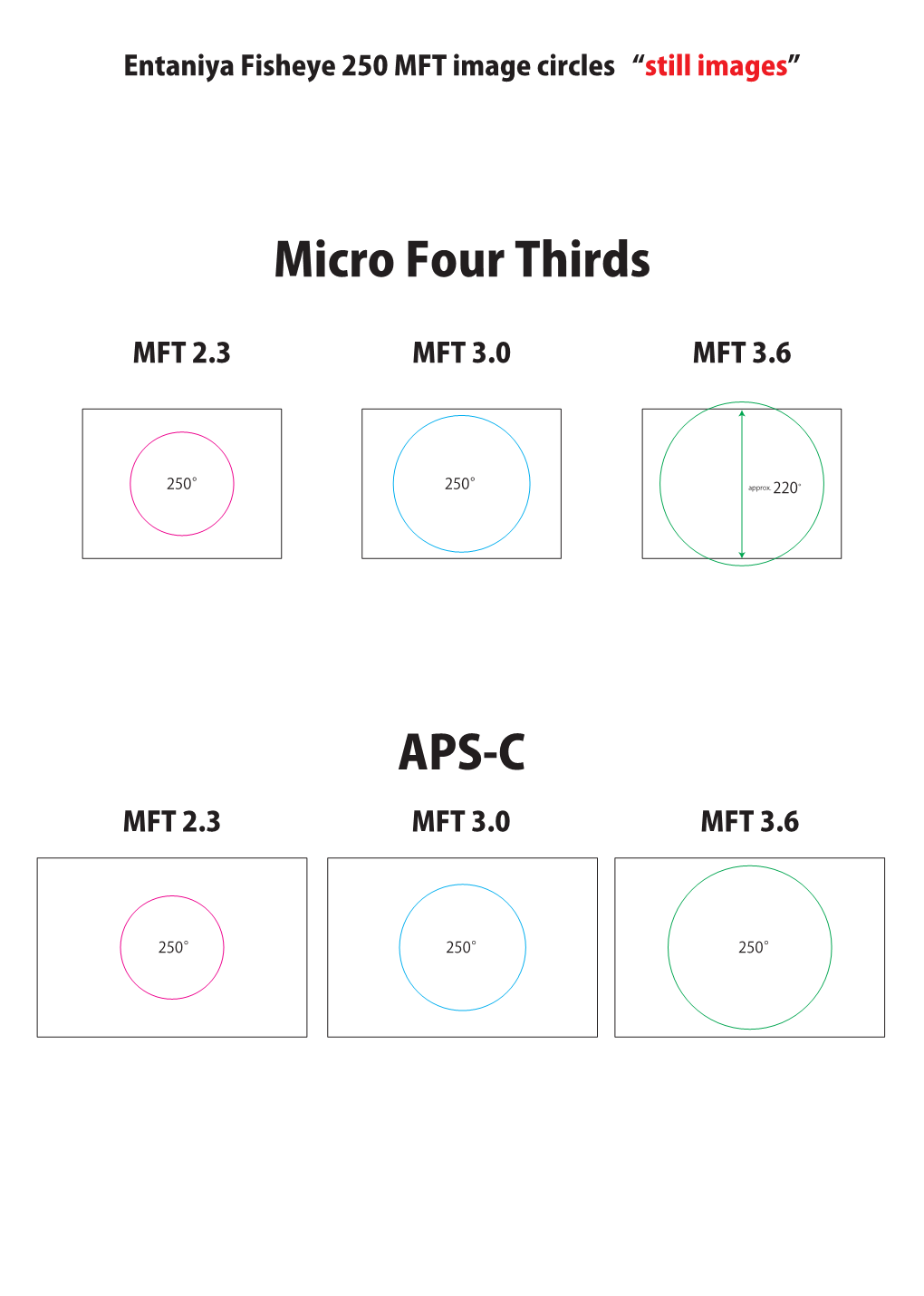 Micro Four Thirds APS-C