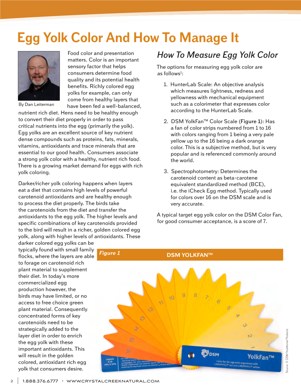 Egg Yolk Color and How to Manage It Food Color and Presentation How to Measure Egg Yolk Color Matters