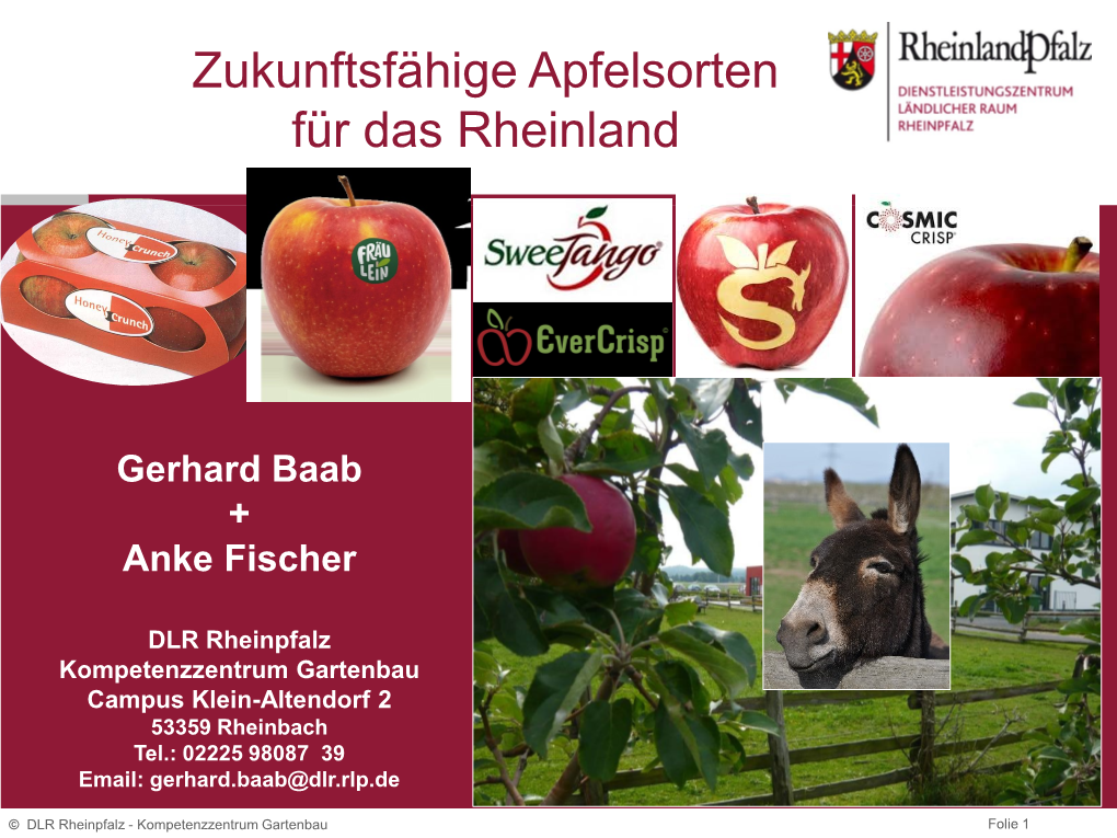 Zukunftsfähige Apfelsorten Für Das Rheinland