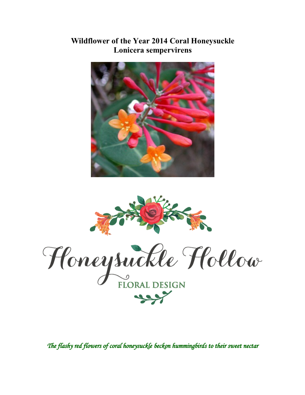 Wildflower of the Year 2014 Coral Honeysuckle Lonicera Sempervirens