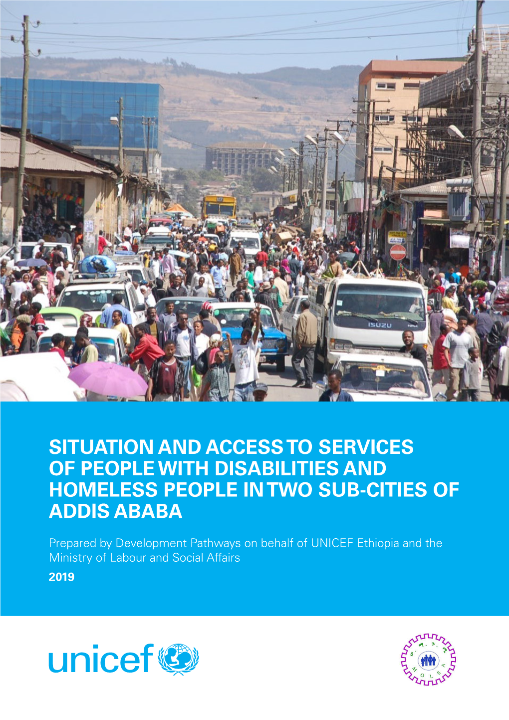Situation and Access to Services of People with Disabilities and Homeless People in Two Sub-Cities of Addis Ababa