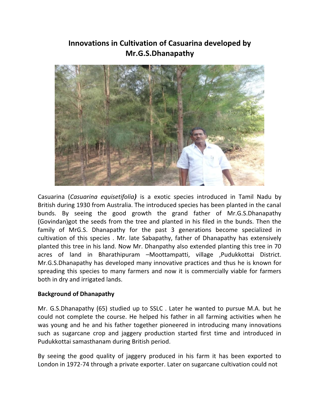 Innovations in Cultivation of Casuarina Developed By