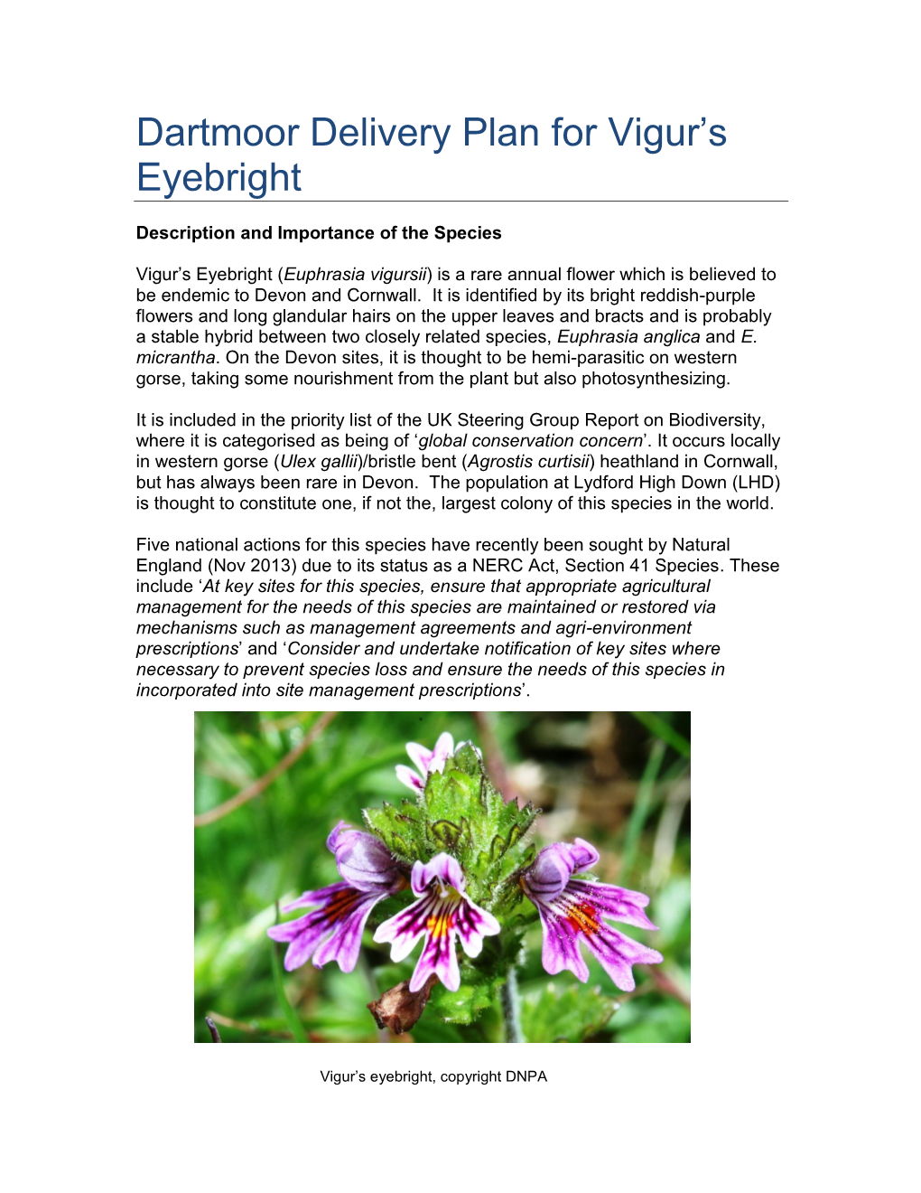 Dartmoor Delivery Plan for Vigur's Eyebright