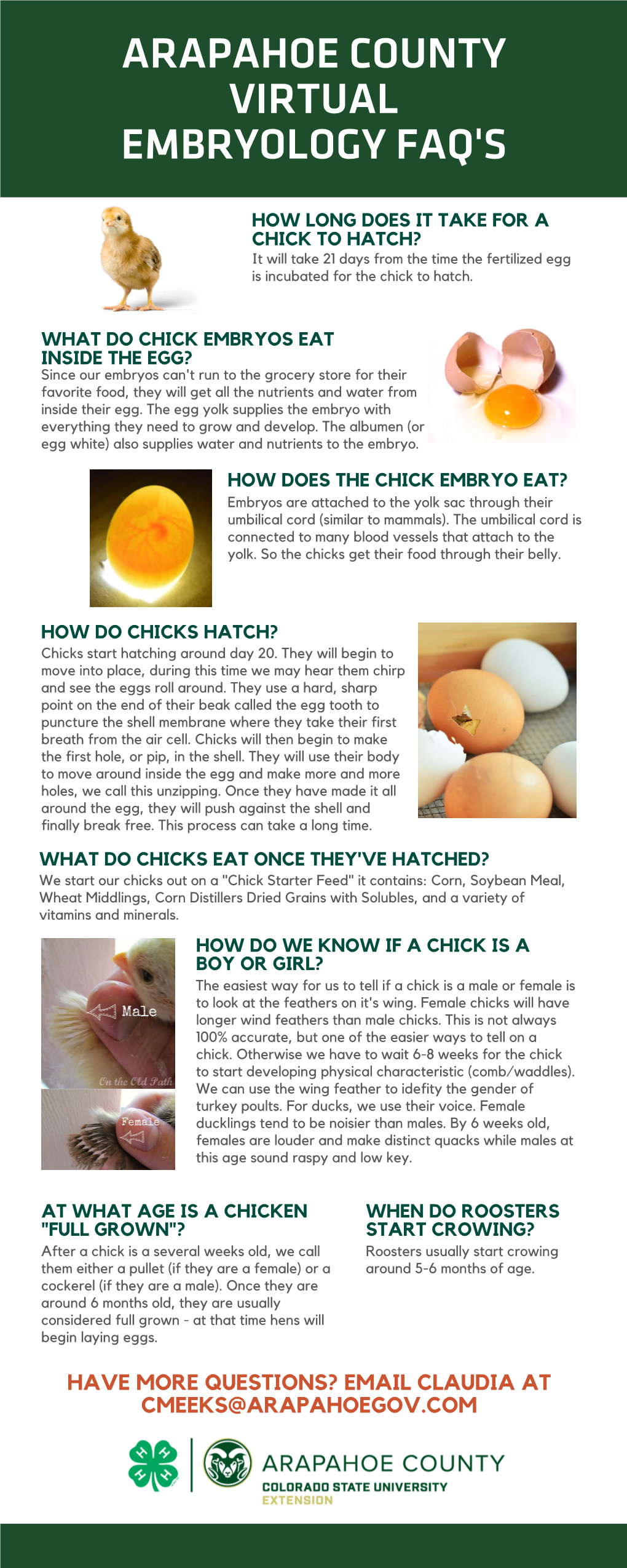 Embryology Frequently Asked Questions