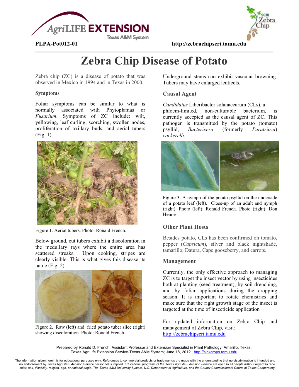 Zebra Chip Disease of Potato