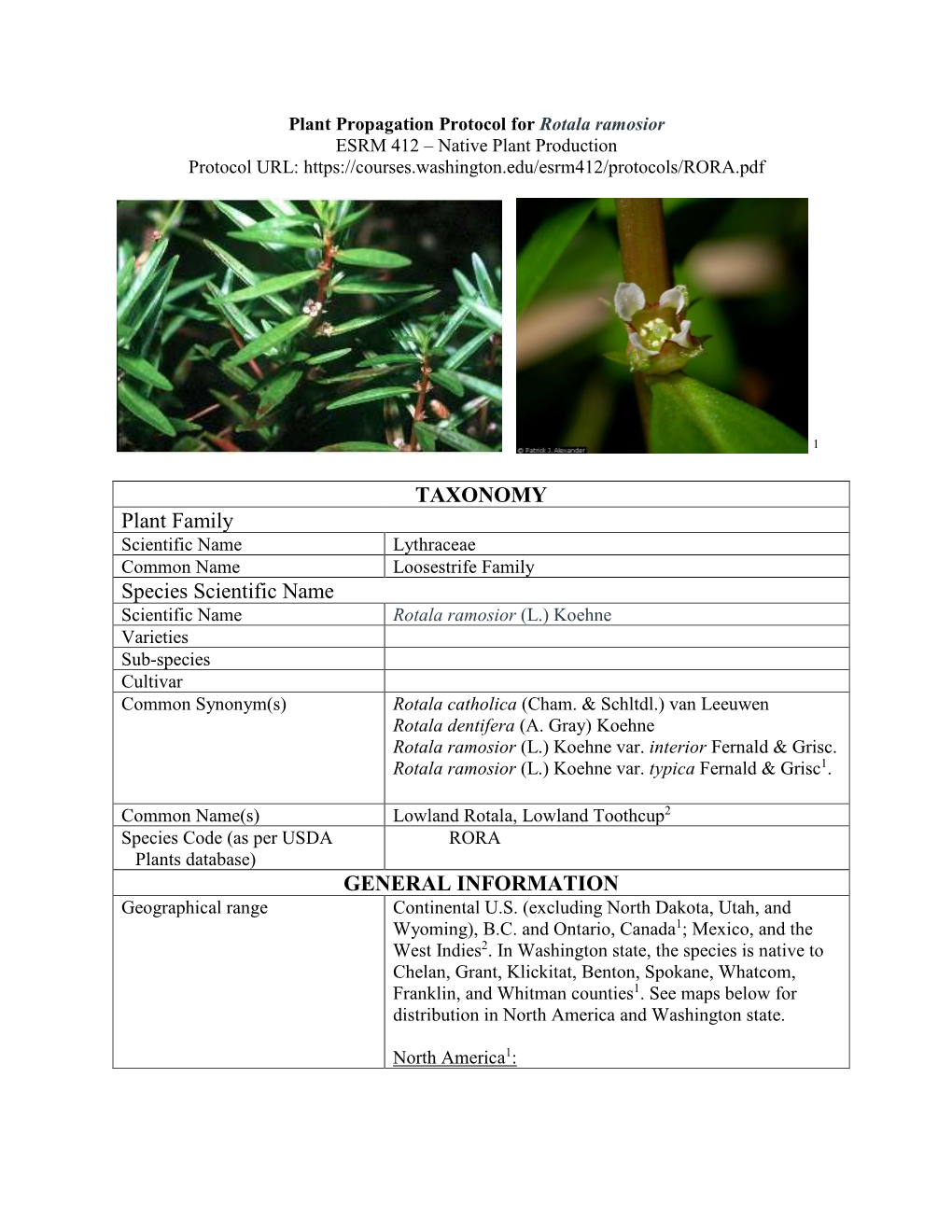 Draft Plant Propagation Protocol