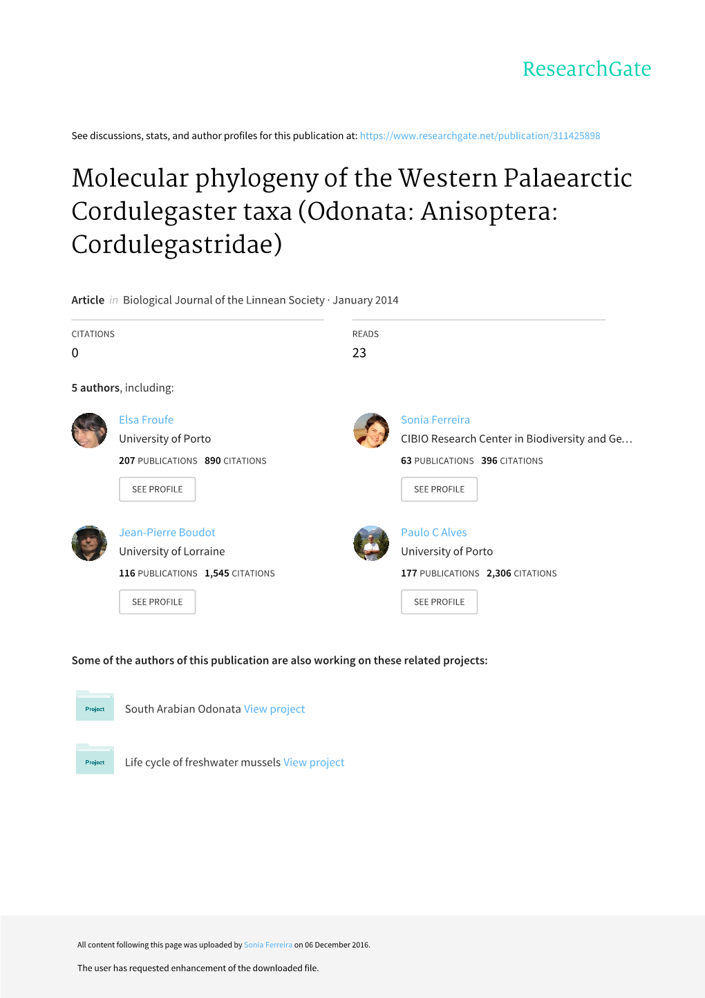 Molecular Phylogeny of the Western Palaearctic Cordulegaster Taxa (Odonata: Anisoptera: Cordulegastridae)