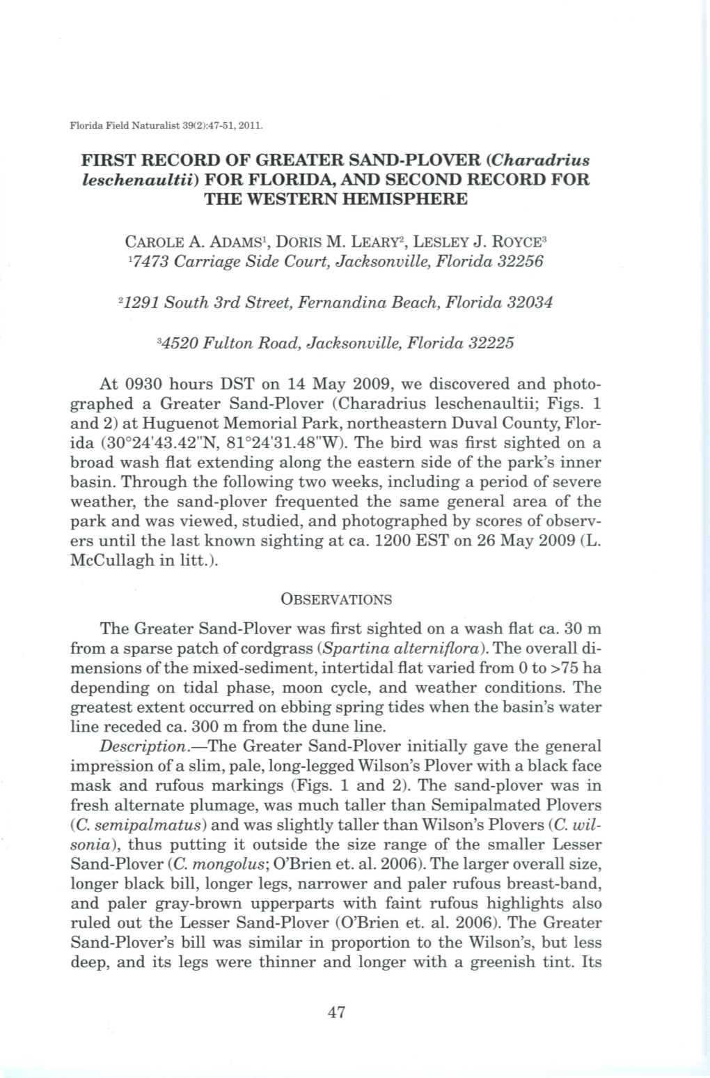 FIRST RECORD of GREATER SAND-PLOVER (Charadrius Leschenaultii) for FLORIDA, and SECOND RECORD for the WESTERN HEMISPHERE