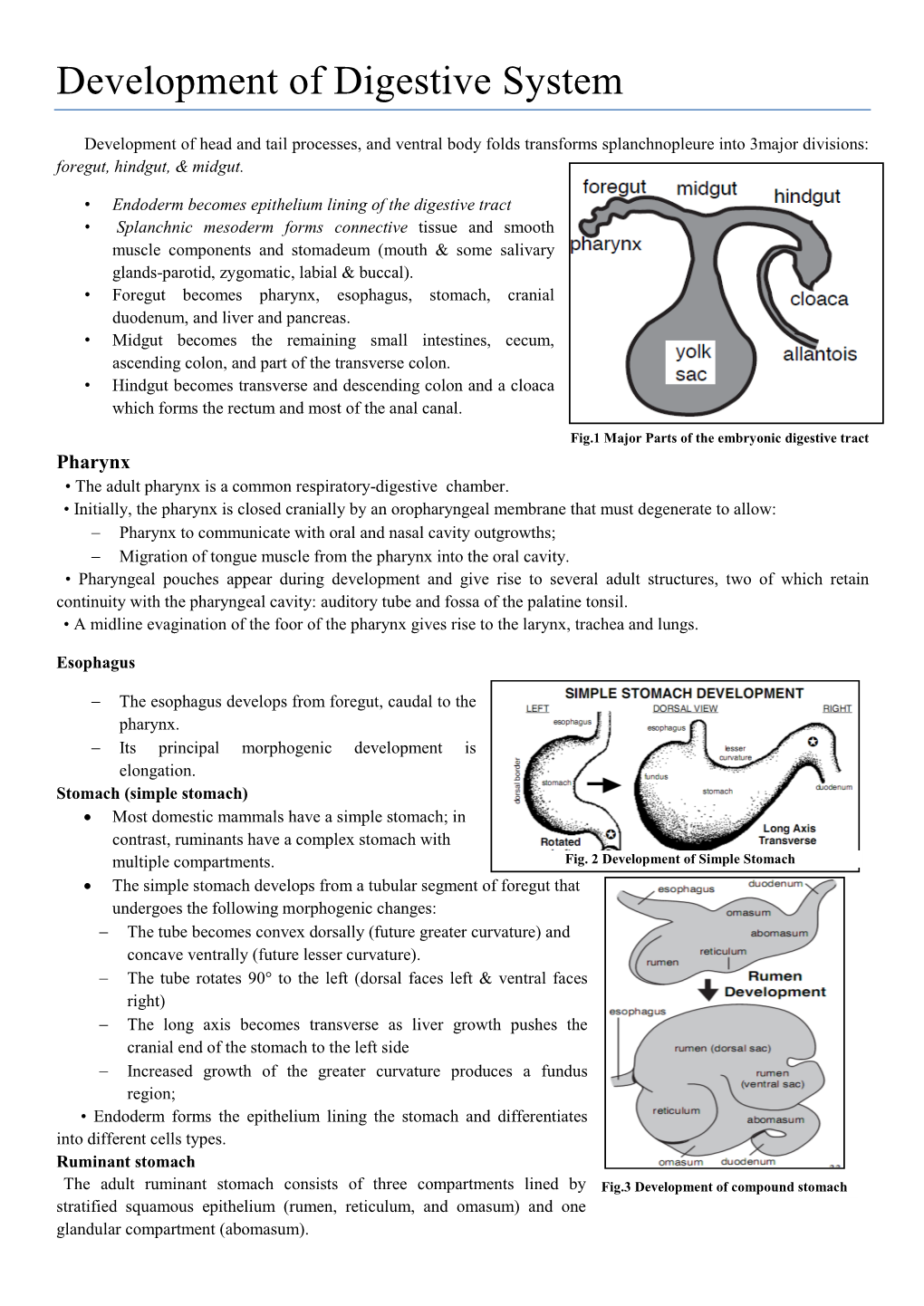 Development of Digestive System