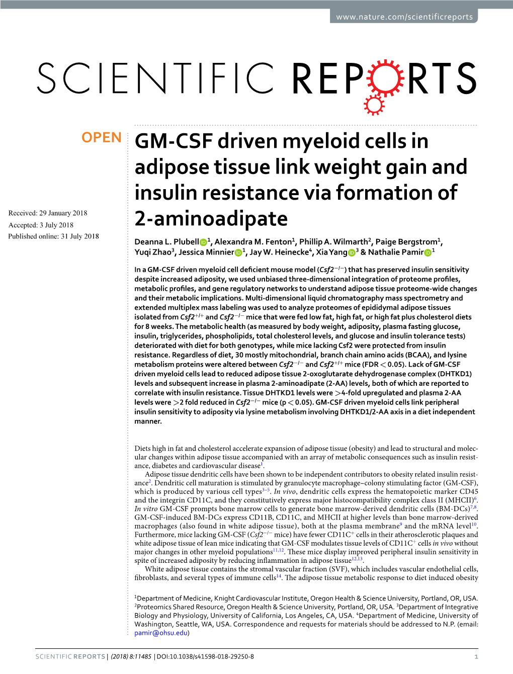 GM-CSF Driven Myeloid Cells in Adipose Tissue Link Weight Gain And