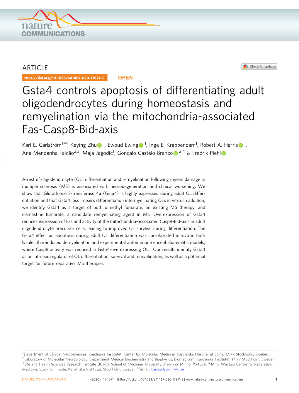 Gsta4 Controls Apoptosis of Differentiating Adult Oligodendrocytes During Homeostasis and Remyelination Via the Mitochondria-Associated Fas-Casp8-Bid-Axis ✉ Karl E