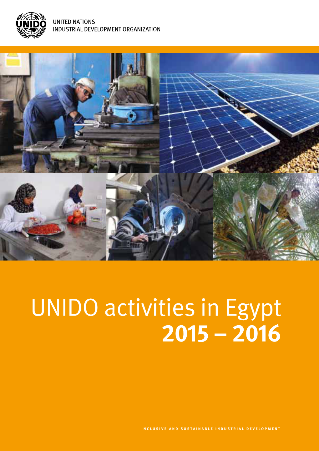 UNIDO Activities in Egypt 2015 – 2016