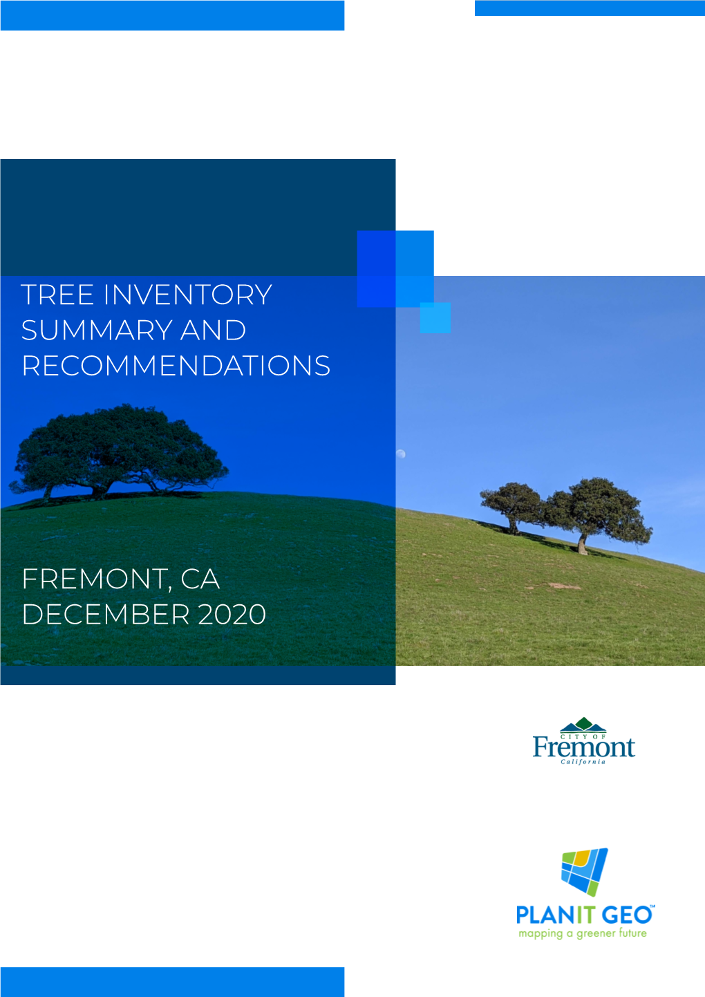 Tree Inventory Summary and Recommendations