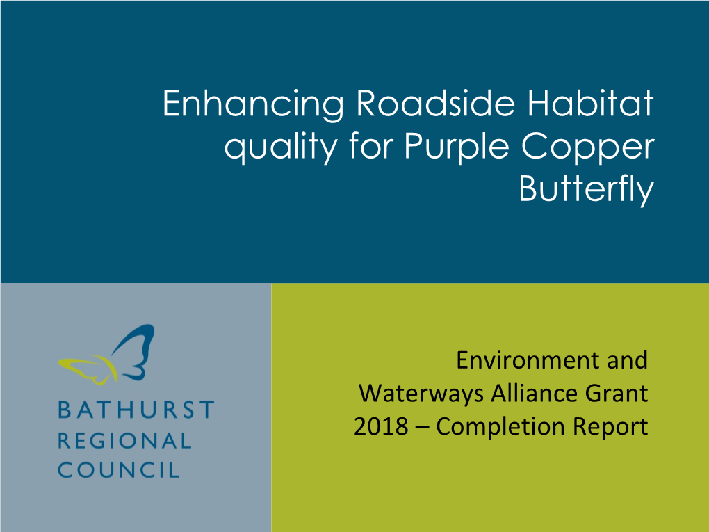 Enhancing Roadside Habitat Quality for Purple Copper Butterfly
