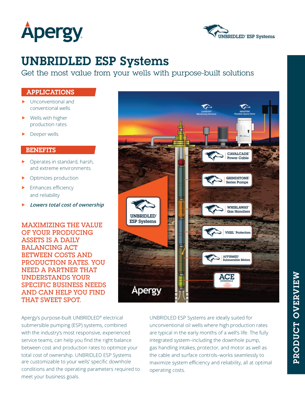 UNBRIDLED ESP Systems Get the Most Value from Your Wells with Purpose-Built Solutions