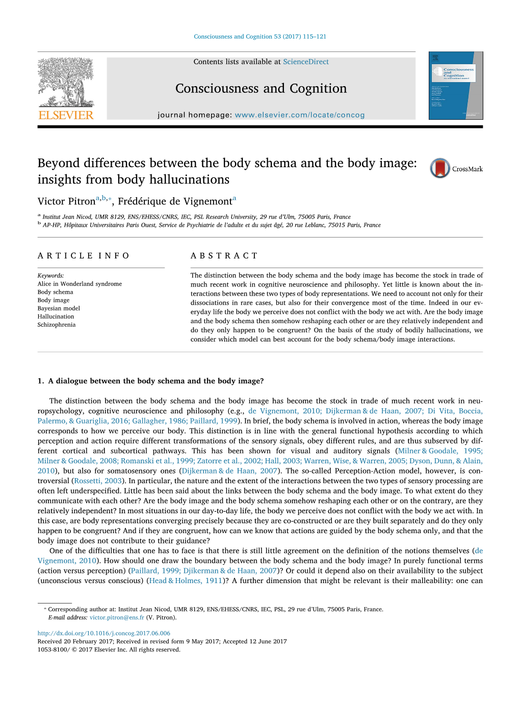 Beyond Differences Between the Body Schema and the Body Image Insights from Body Hallucinations