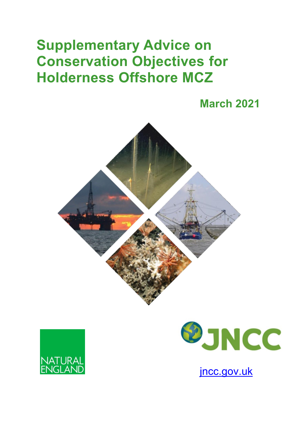 Supplementary Advice on Conservation Objectives for Holderness Offshore MCZ