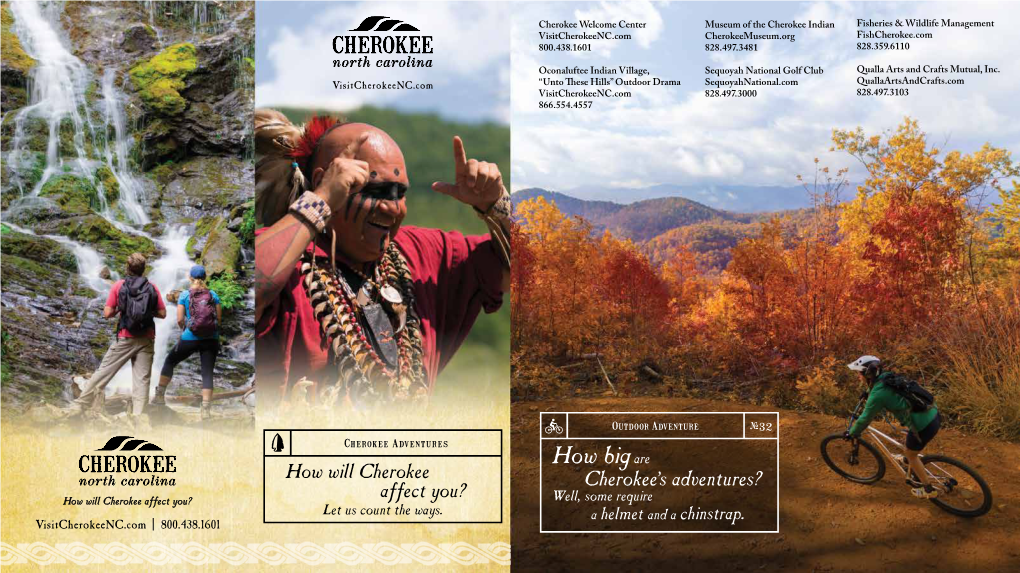 View the 2019 Cultural Brochure