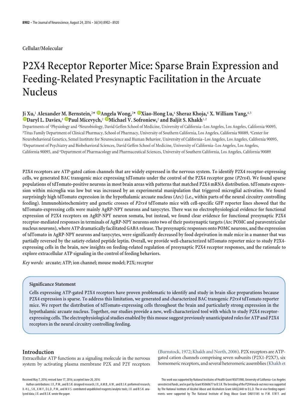 P2X4 Receptor Reporter Mice: Sparse Brain Expression and Feeding-Related Presynaptic Facilitation in the Arcuate Nucleus