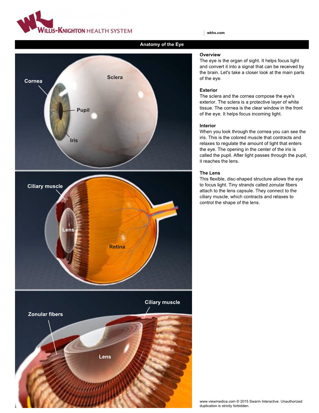 Sclera Iris Retina Pupil Lens Lens Ciliary Muscle Cornea Ciliary