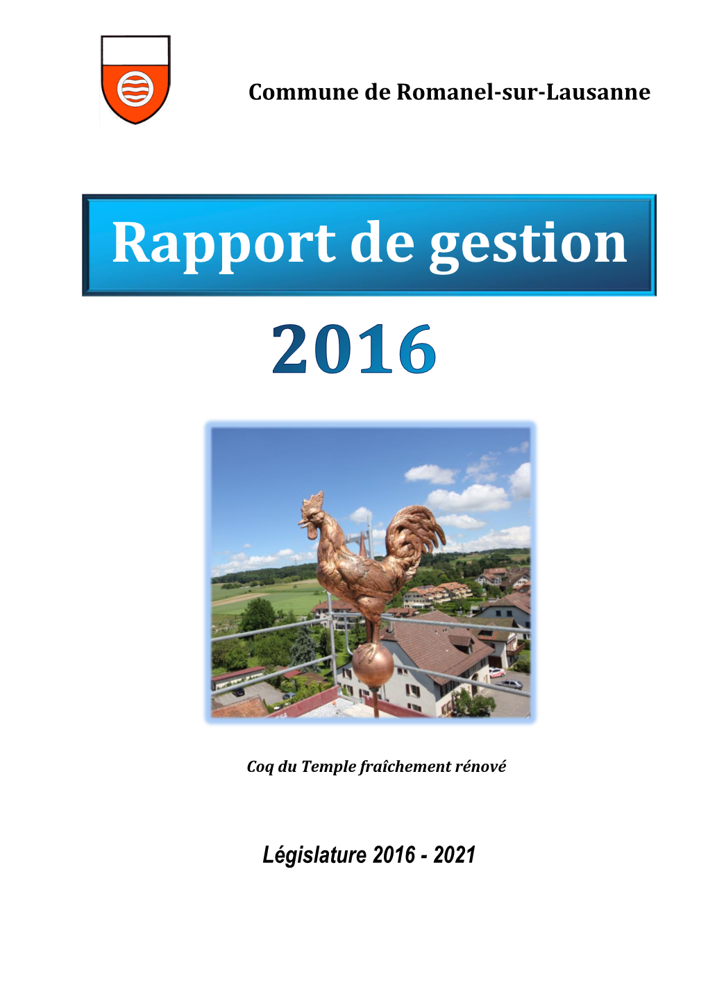 Rapport De Gestion 2016