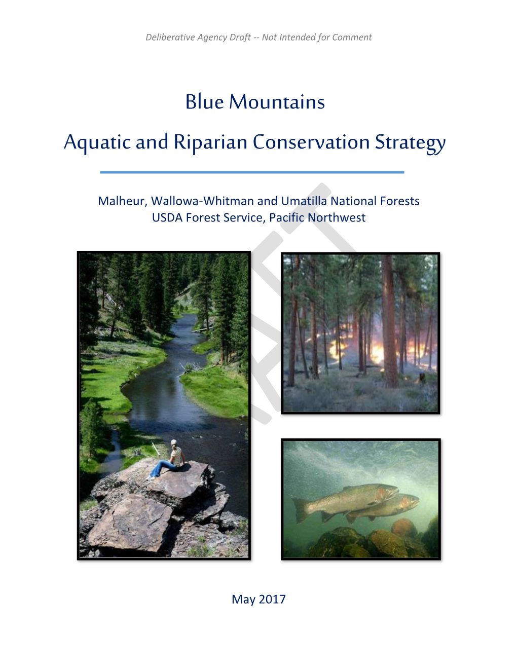 Blue Mountains Aquatic and Riparian Conservation Strategy
