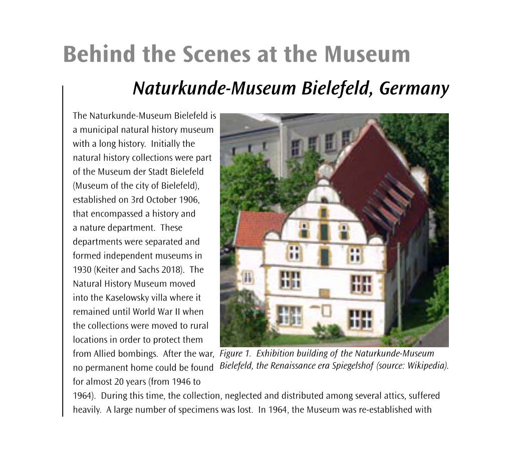 Behind the Scenes at the Museum Naturkunde-Museum Bielefeld, Germany