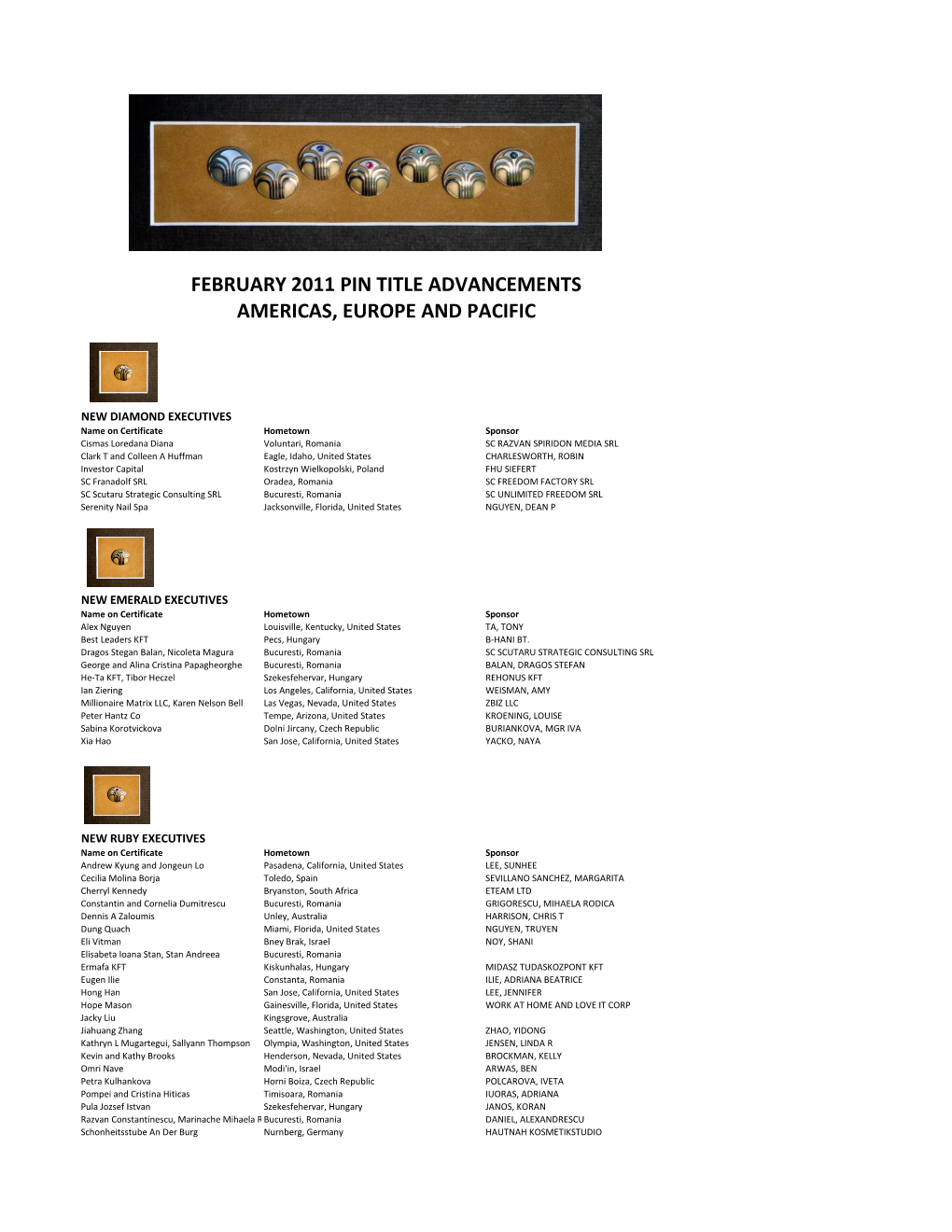 February 2011 Pin Title Advancements Americas, Europe and Pacific