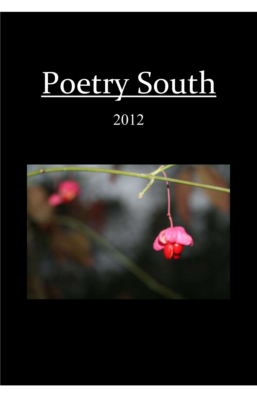 Poetry South 2012 Cover