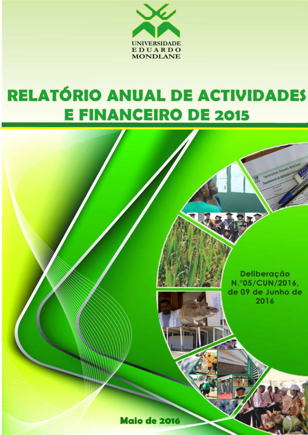 Relatório Financeiro 2015