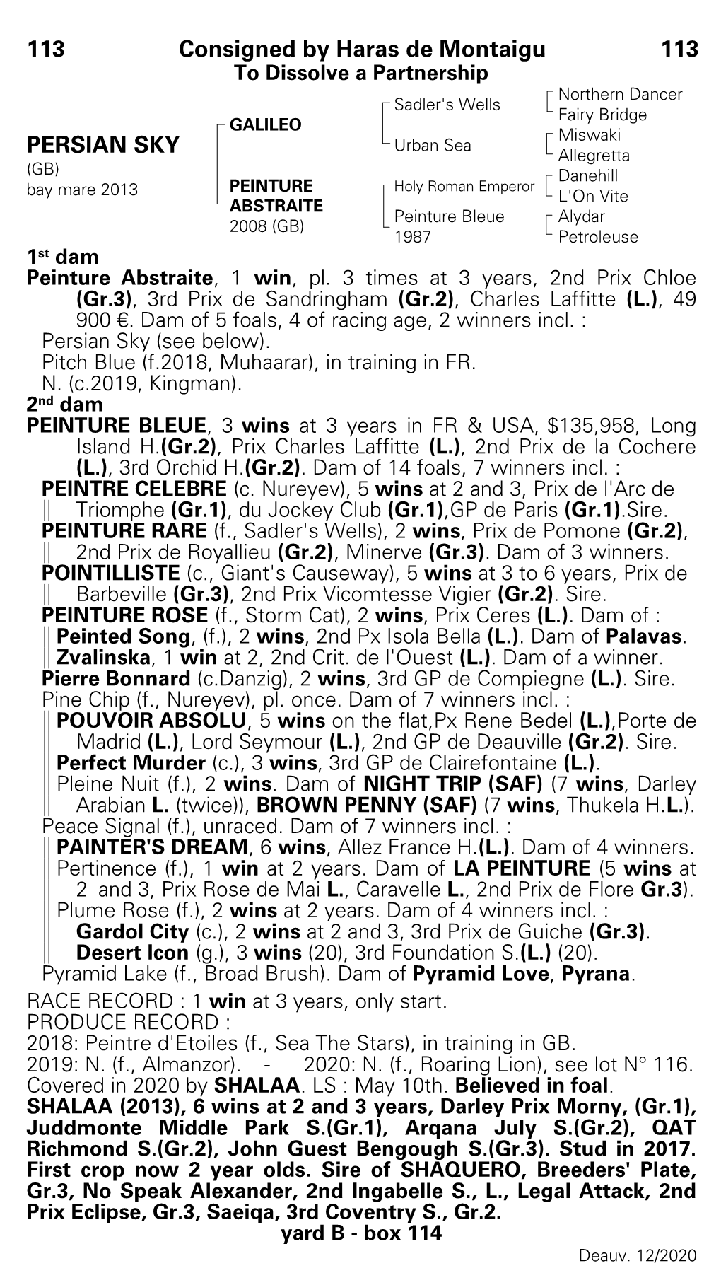 113 Consigned by Haras De Montaigu 113 PERSIAN