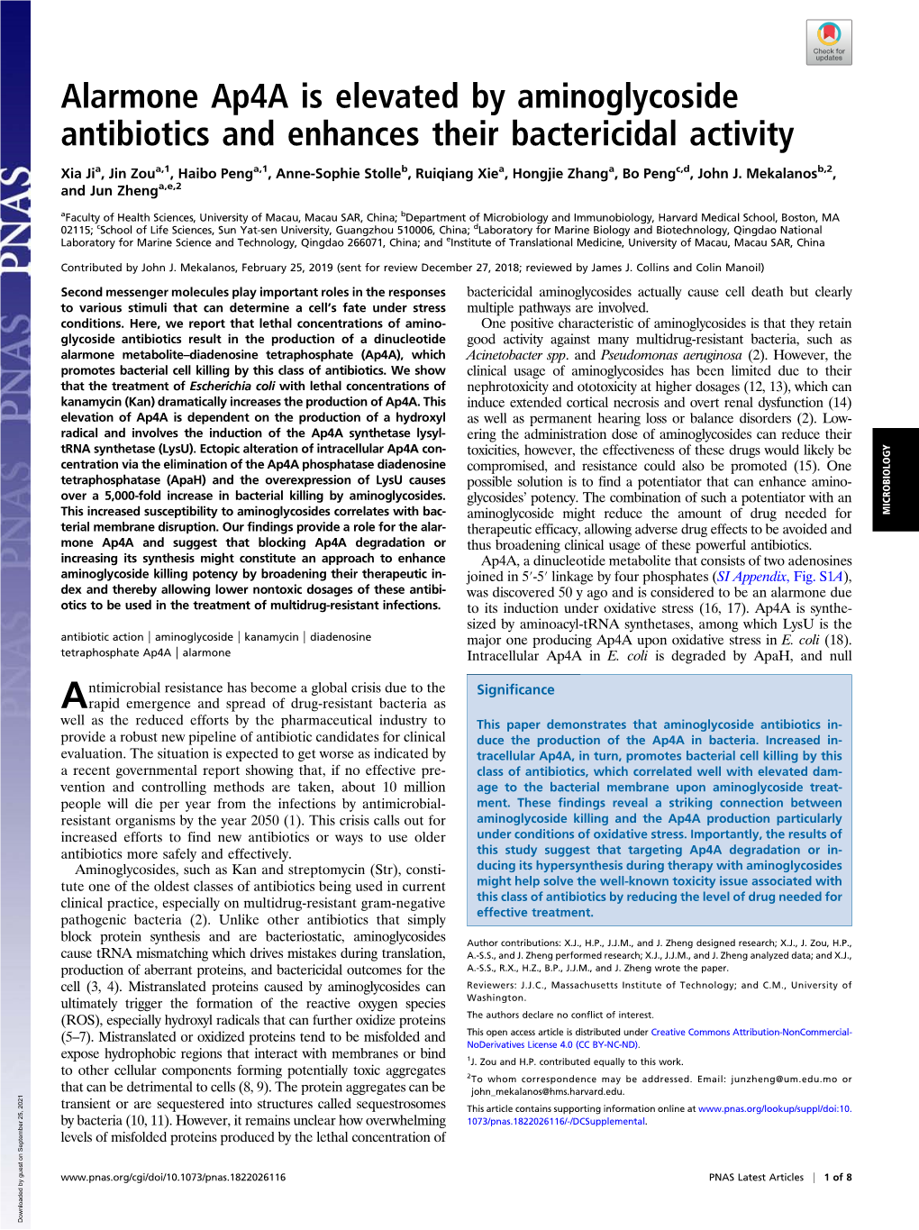 Alarmone Ap4a Is Elevated by Aminoglycoside Antibiotics and Enhances Their Bactericidal Activity