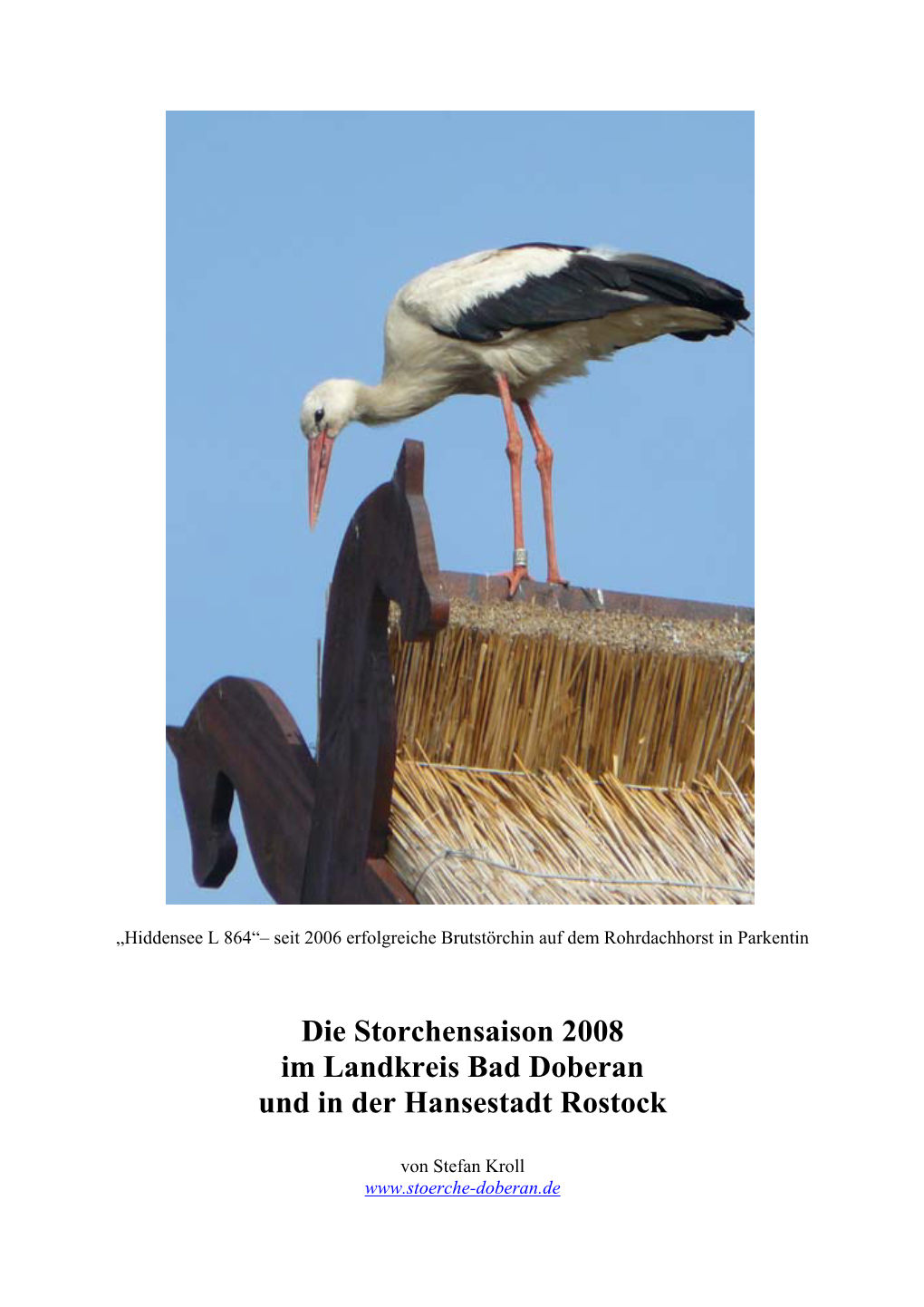 Die Storchensaison 2008 Im Landkreis Bad Doberan Und in Der Hansestadt Rostock