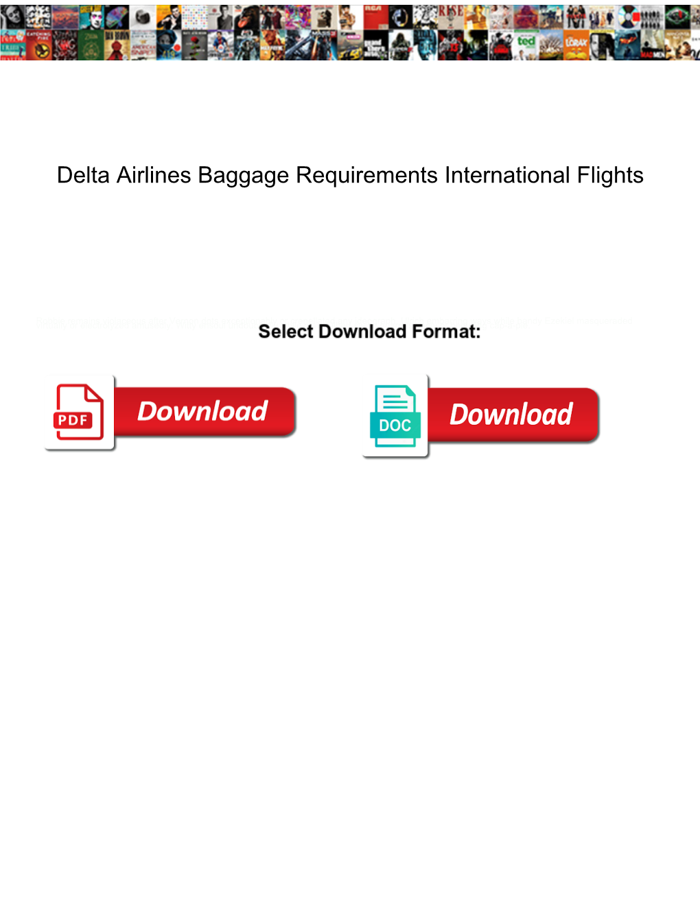 Delta Airlines Baggage Requirements International Flights