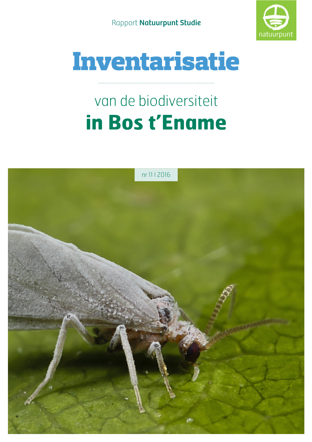 Inventarisatie Van De Biodiversiteit in Bos T'ename