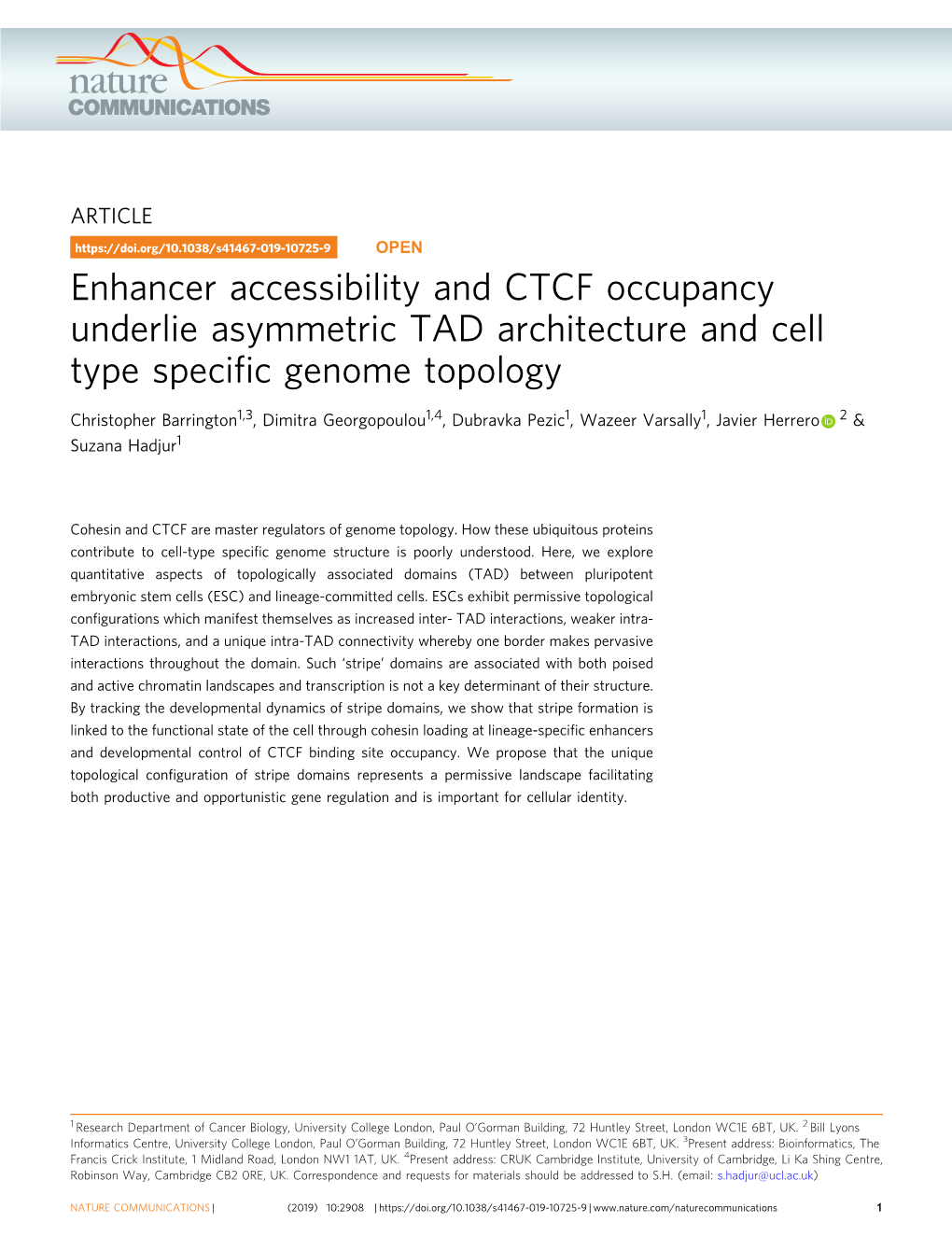 Enhancer Accessibility and CTCF Occupancy Underlie Asymmetric TAD Architecture and Cell Type Specific Genome Topology