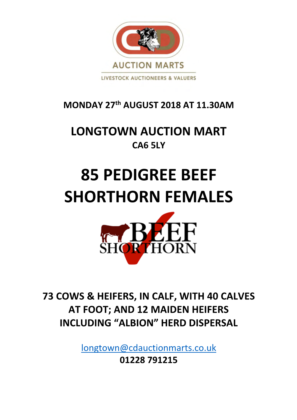85 Pedigree Beef Shorthorn Females