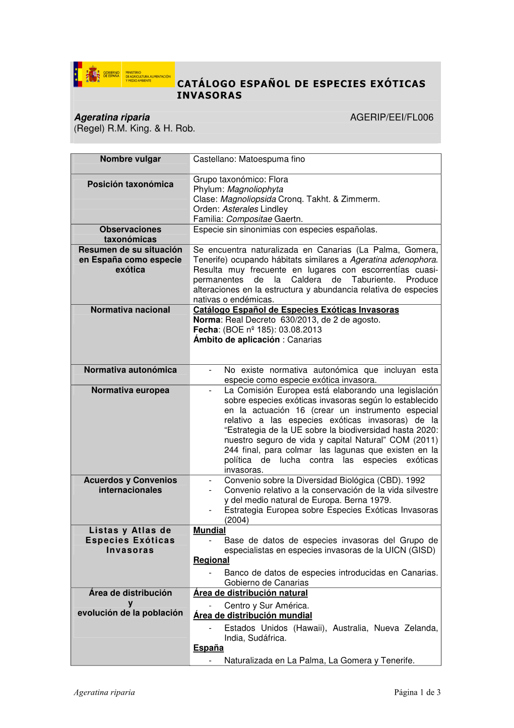 Ageratina Riparia AGERIP/EEI/FL006 (Regel) R.M