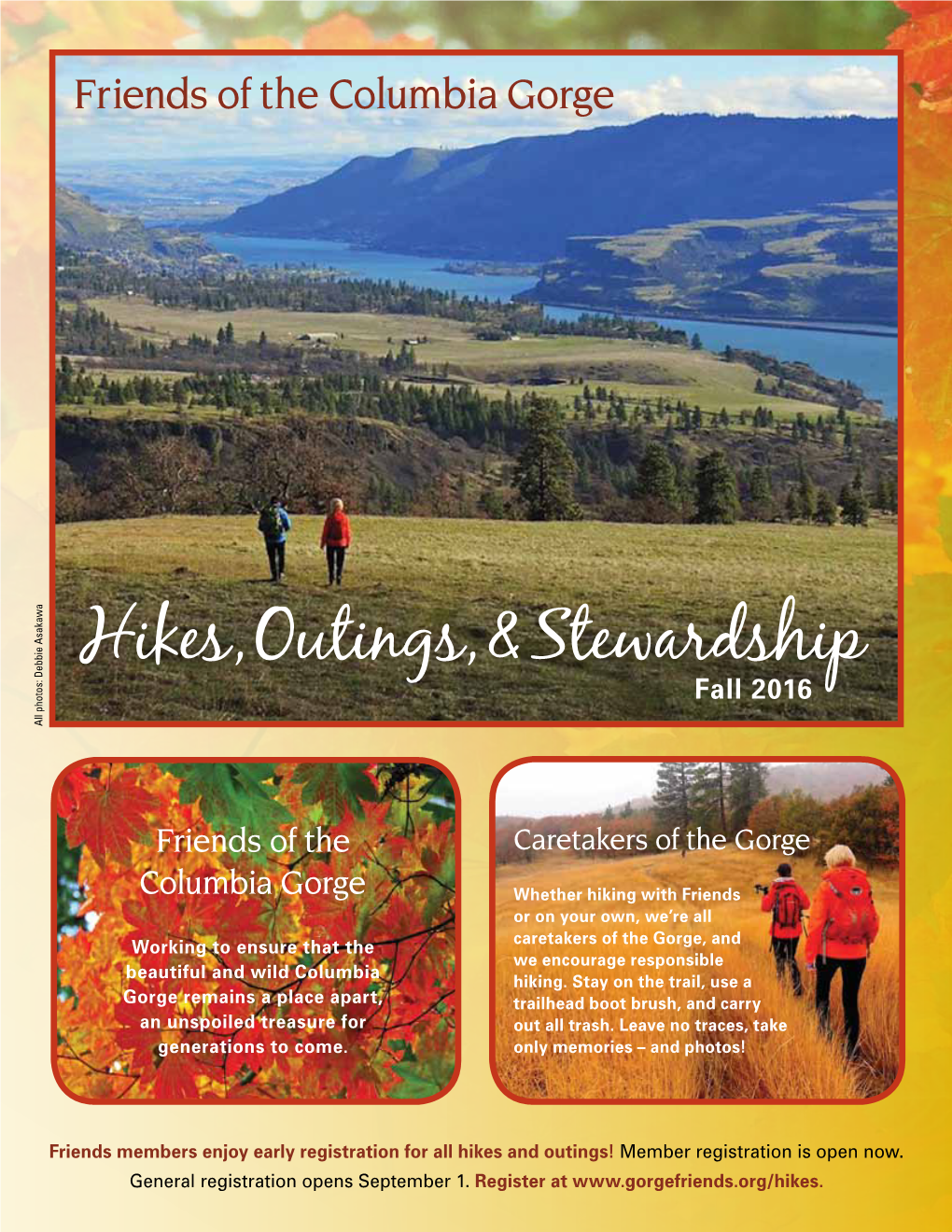 Hikes, Outings, & Stewardship