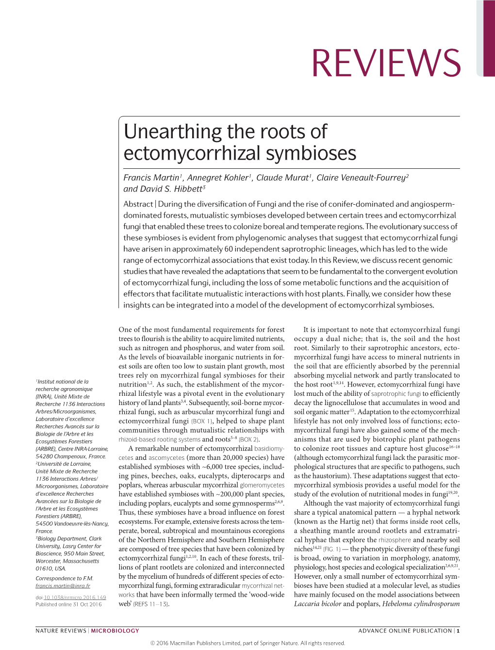 Unearthing the Roots of Ectomycorrhizal Symbioses