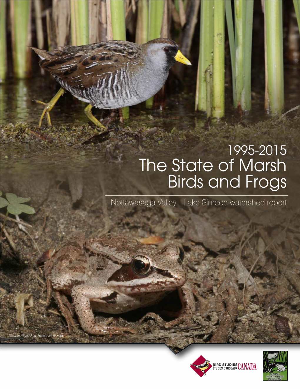 The State of Marsh Birds and Frogs Nottawasaga Valley - Lake Simcoe Watershed Report