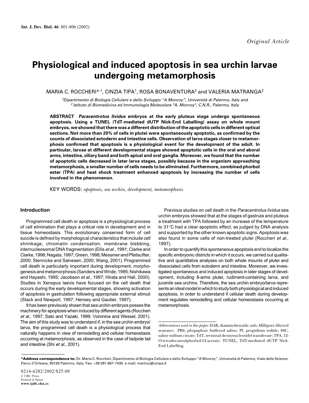 Physiological and Induced Apoptosis in Sea Urchin Larvae Undergoing Metamorphosis