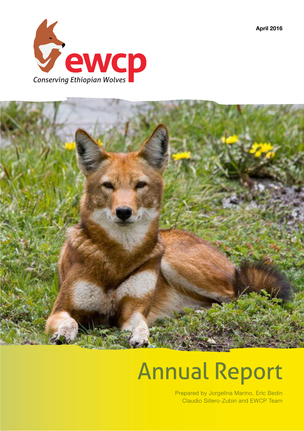 The Latest EWCP Annual Report