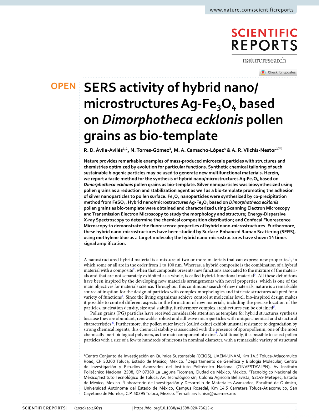 SERS Activity of Hybrid Nano/Microstructures Ag-Fe3o4